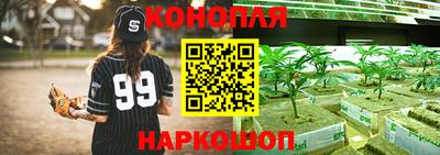 дмт Будённовск