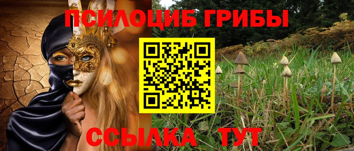 Галлюциногенные грибы MAGIC MUSHROOMS Назрань
